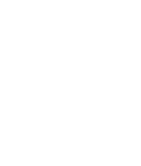 Lu Leccio